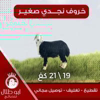 خاروف نجدي صغير