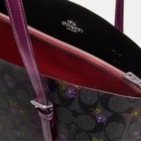 كوتش مولي 34 بلاك روز