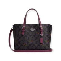 كوتش مولي 25 - مورده