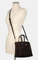 كوتش مولي 25 - بني