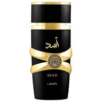 عطر لطافة أسد للرجال | او دو بارفيوم 100 مل | رائح...