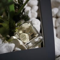 Avanti Unisex Perfume - 72H Long Lasting - عطر أفا...