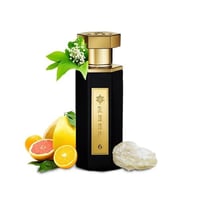 ريف العطور ريف 6 - افانتي للعطور