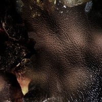 عطر بولغاري رجالي جيمى فالكار - او دو برفيوم 100 م...