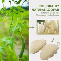 ليفة الوسادة المزدوجة الصغيرة وجهين ألوان متعددة ل...