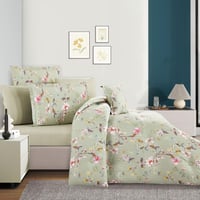 مفرش قطن صيفي مقاس كوين 8 قطع - فيوليتا - اخضر - ب...