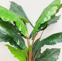 شجرة الوكاسيا صناعية مقاس كبير