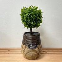 سلة حوض للزرع خيزران بني وبيج