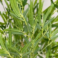 شجرة بامبو صناعية مقاس وسط