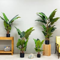 شجرة الوكاسيا صناعية مقاس كبير