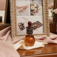 بكج سهب الخاص مبخرة إلكترونية فرشاة الشعر مع عطر ش...