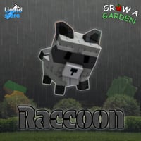 الراكون | Grow A Garden