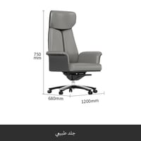 كرسي مدير جلد طبيعي