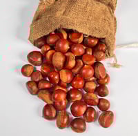 كستناء فاخرة