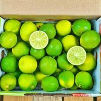 ليمون فيتنامي بدون بذور