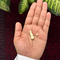 مسباح دومنه صب قديم