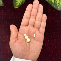 مسباح دومنه صب قديم