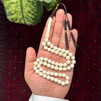 مسباح عظم جمل