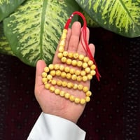 مسباح بكلايت توفي