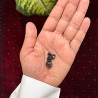 مسباح فاتوران صب جديد