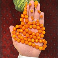 مسباح فاتوران صب جديد