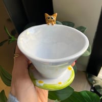 قمع V60 حديقة القط ليو