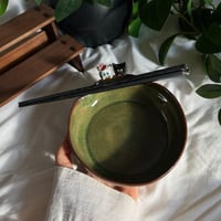 وعاء النودلز القطه لولو وصديقها