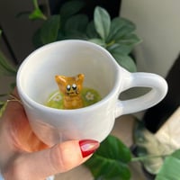 كوب حديقة القطة ليو