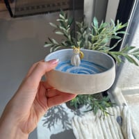 وعاء المياو سمير