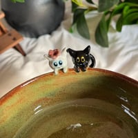 وعاء المياو لولو وصديقها