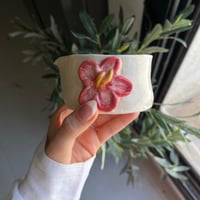 وعاء ماتشا تستاهلي تتحبي