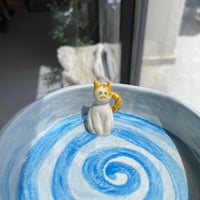 وعاء المياو سمير