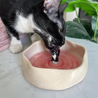 وعاء ياسمينا النحلة