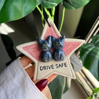 تعليقة سيارة قطط شهر اكتوبر