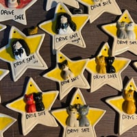 خدمة تخصيص لون القط او اضافة شخصيه