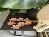 احجار التوتر او صحن للخواتم زهرة الليلي