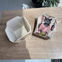 وعاء بوكس النودلز القطه اليابانيه