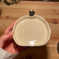 صحن المياو السعودية