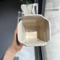 وعاء بوكس النودلز القط الياباني