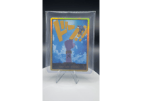 DON!! Card (Vivi) (Gold) - Premium Booster -The Be...