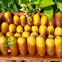 بــرني (600 g)