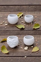 فازات جبس توزبعات