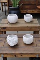 فازات جبس توزبعات