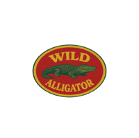 Wild Alligator