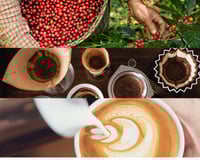 عن بعد: مهارات الباريستا الشاملة