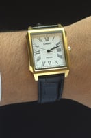 كاسيو MTP-B190GL