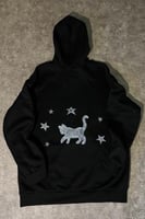 Hoodie cat