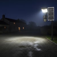 كاميرا دينكس بكشاف ضمان عاميين