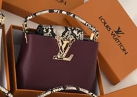 حقيبة لويس فيتون