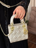 حقيبة ديور مستر